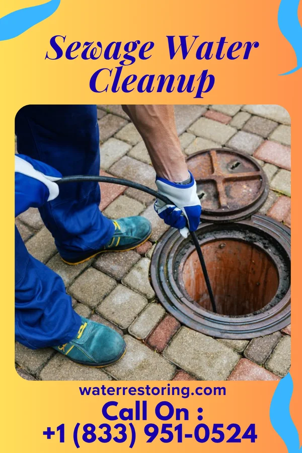 Sewage Water Cleanup in Anamosa, IA